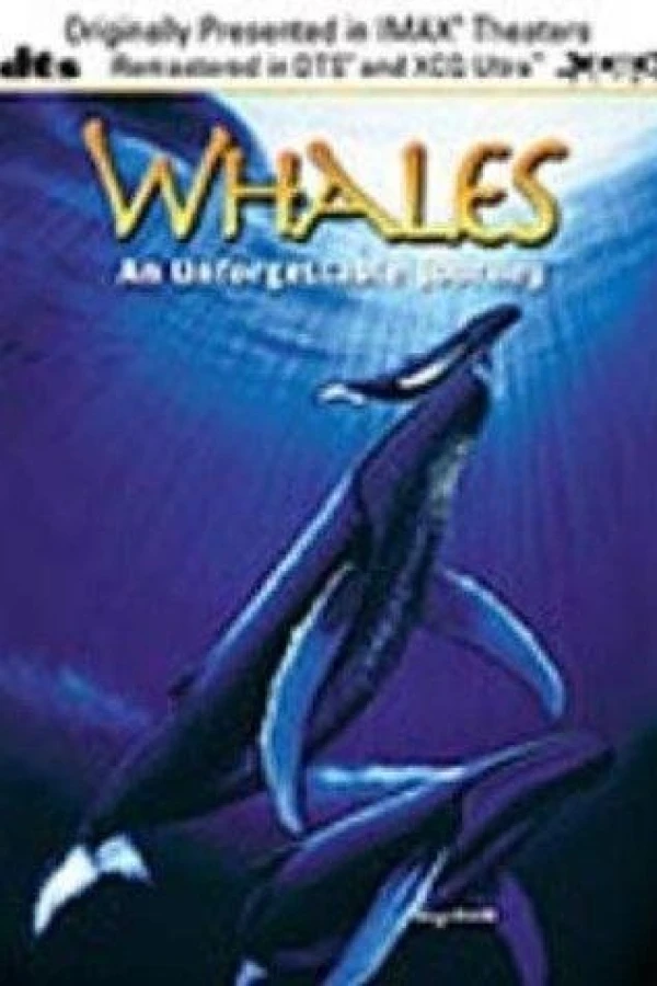 Whales: An Unforgettable Journey Juliste