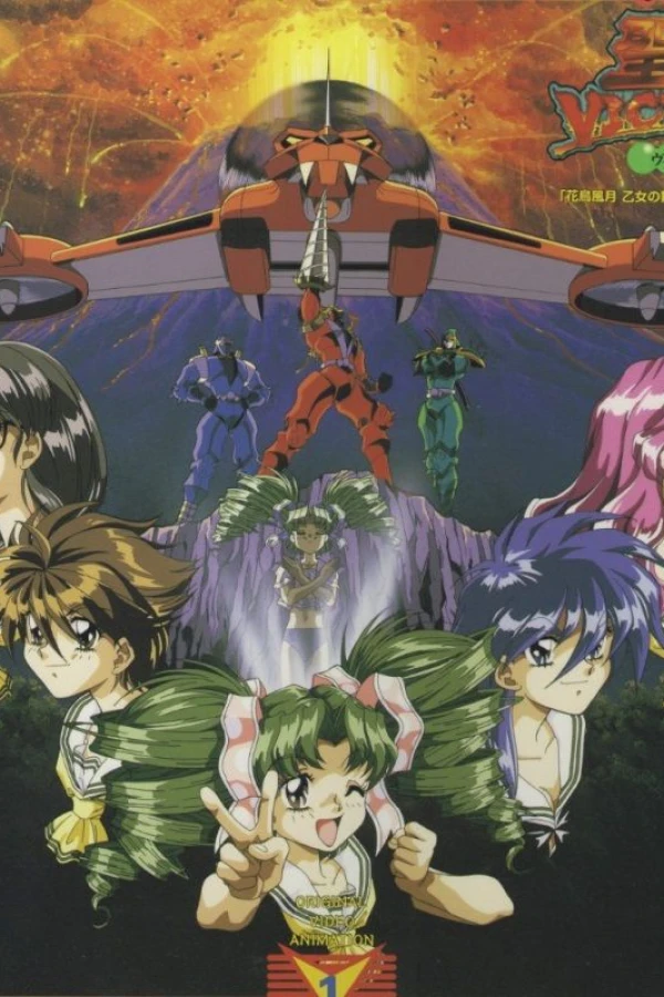 Sailor Victory Juliste