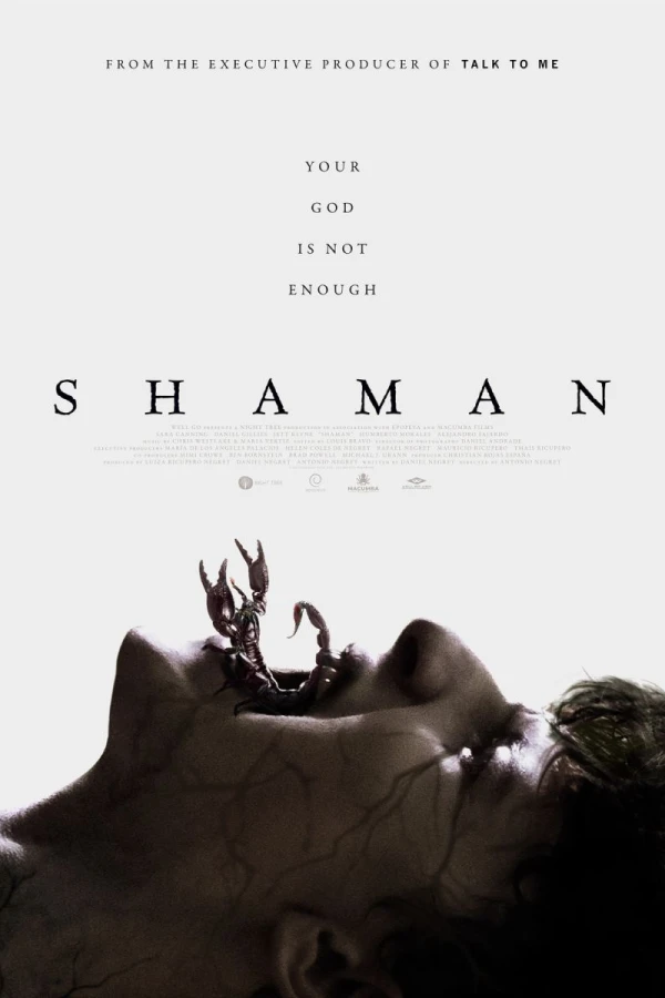 Shaman Juliste