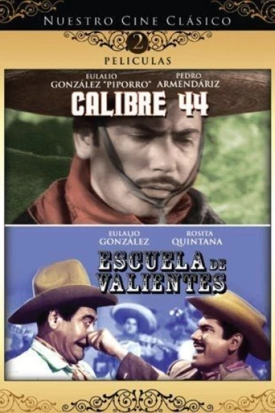Calibre 44