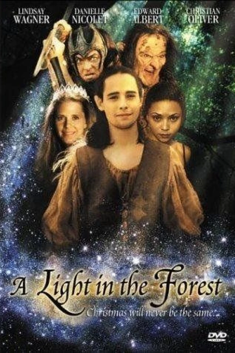 A Light in the Forest Juliste