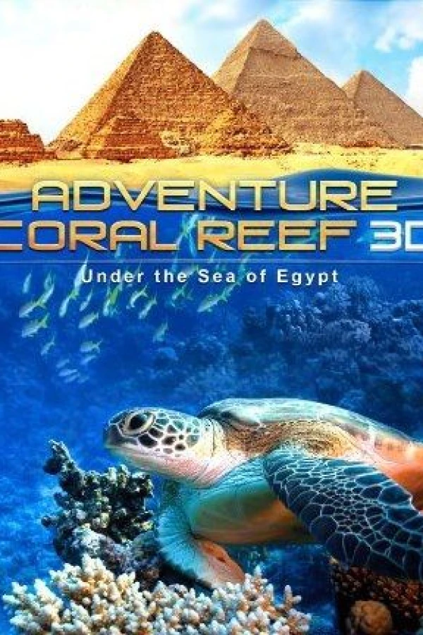Adventure Coral Reef 3D Under the Sea of Egypt Juliste