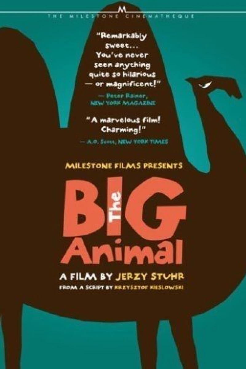 Big Animal Juliste