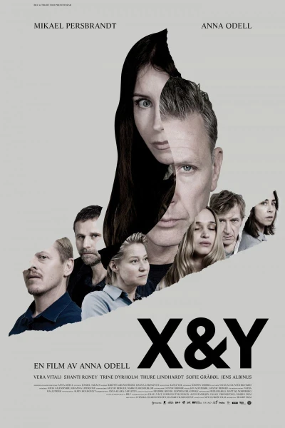 X Y