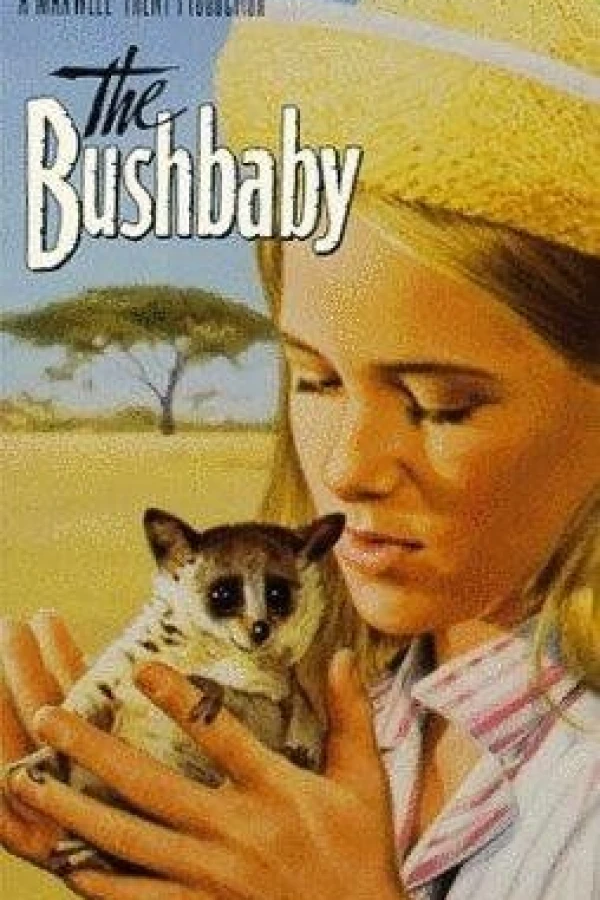 The Bushbaby Juliste