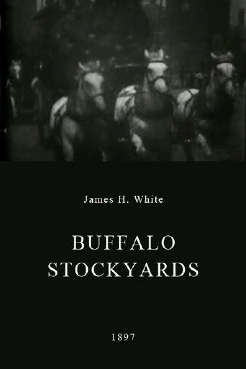 Buffalo Stockyards Juliste