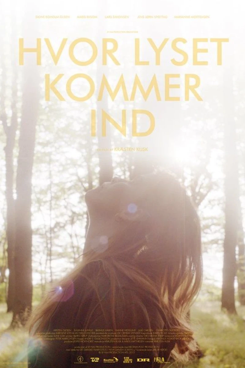 Hvor lyset kommer ind Juliste