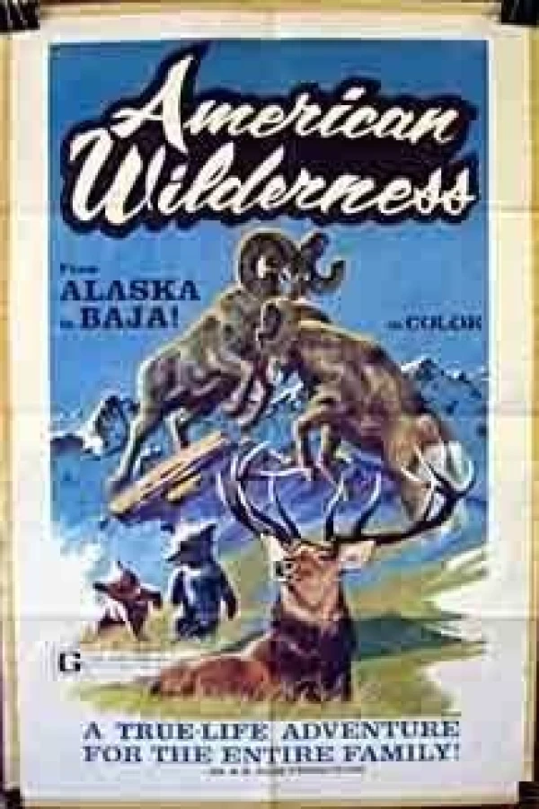 American Wilderness Juliste