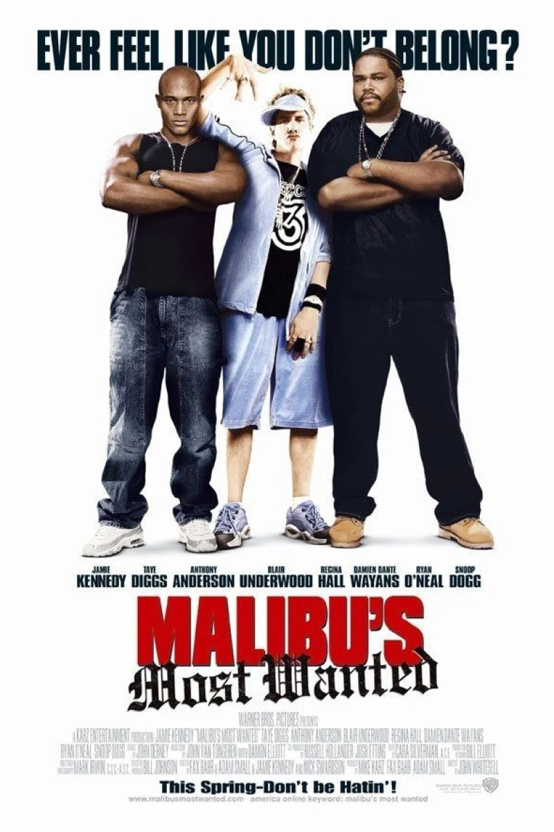 Malibu's Most Wanted Juliste