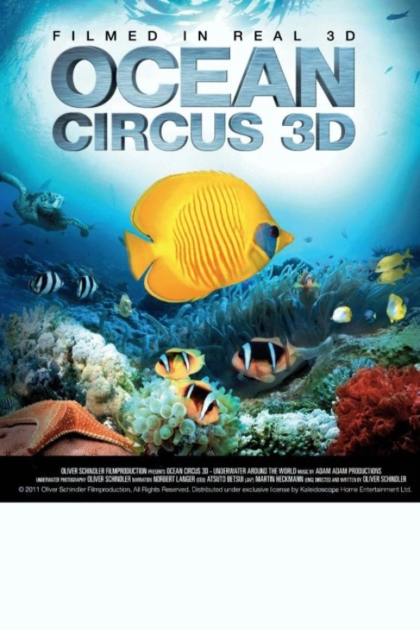 Ocean Circus 3D: Underwater Around the World Juliste