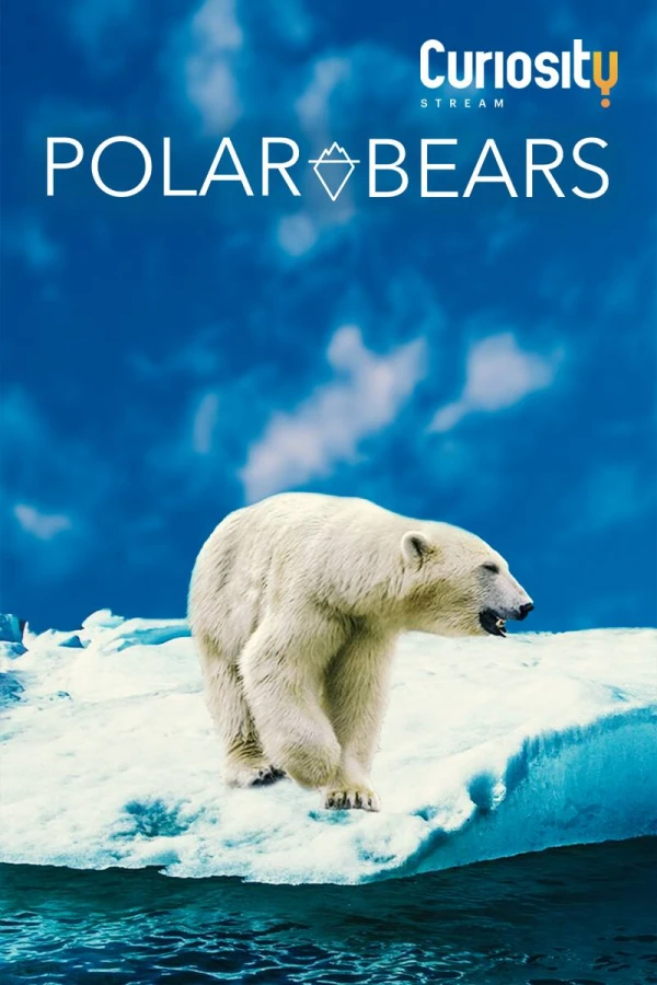 Polar Bears Juliste