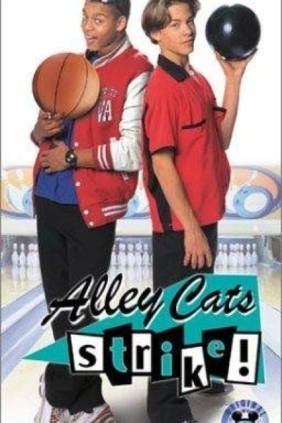 Alley Cats Strike