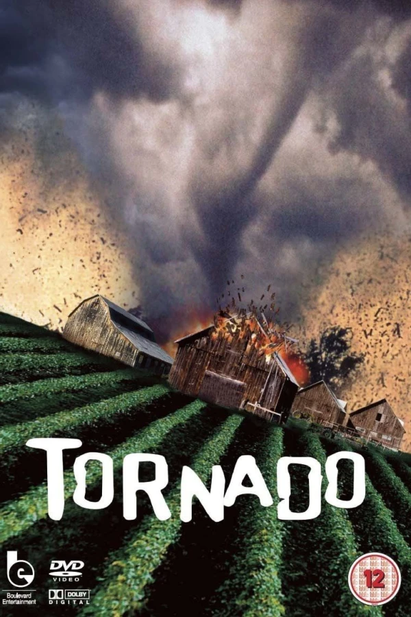 Nature Unleashed: Tornado Juliste