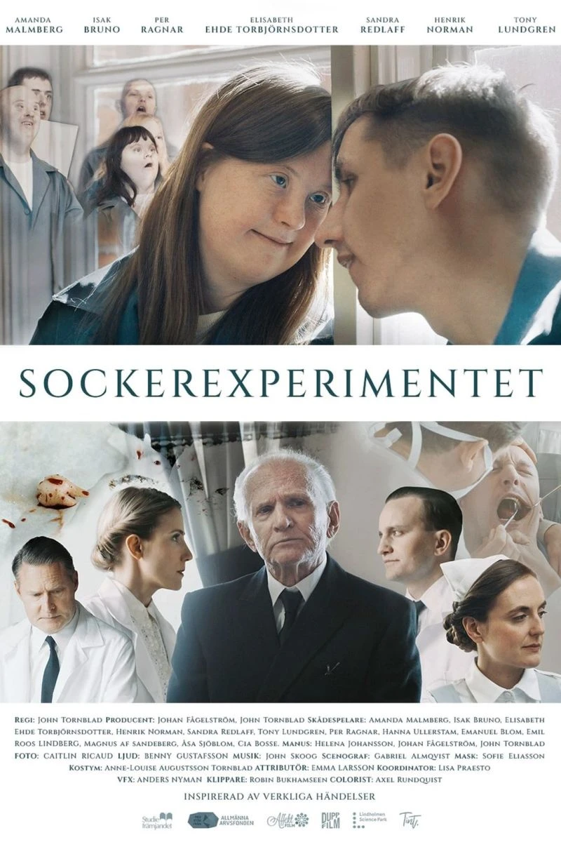 Sockerexperimentet Juliste