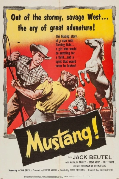 Mustang!