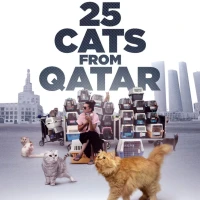 25 Cats from Qatar