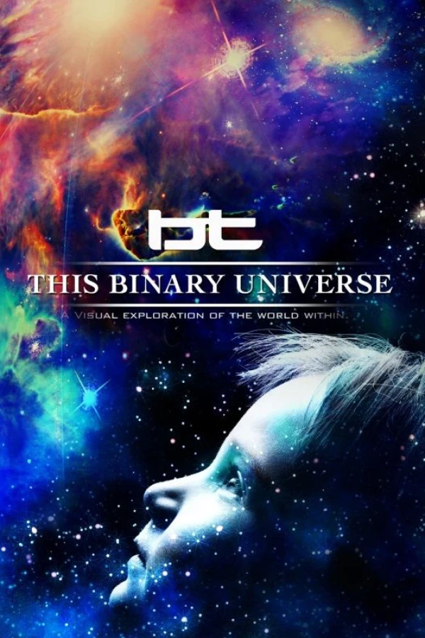 This Binary Universe Juliste