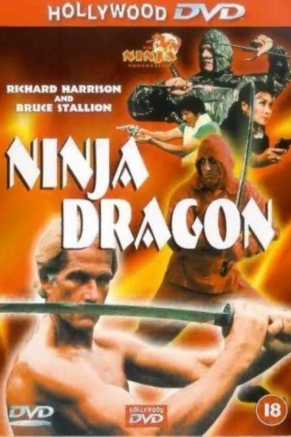 Ninja Dragon Juliste