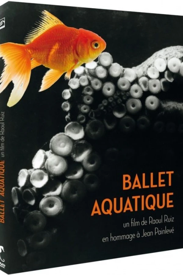 Ballet aquatique Juliste