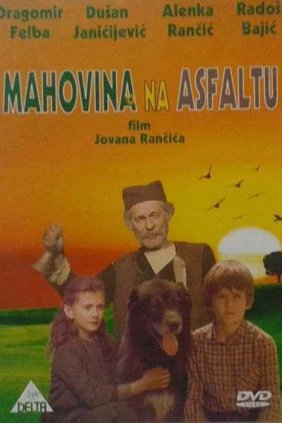 Mahovina na asfaltu