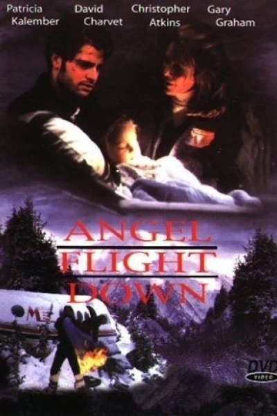 Angel Flight Down