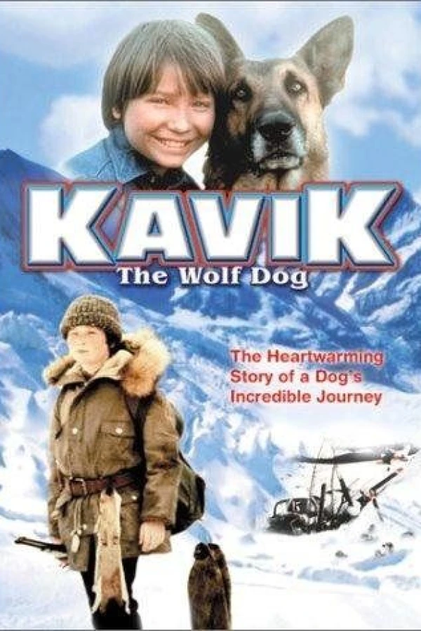 The Courage of Kavik, the Wolf Dog Juliste