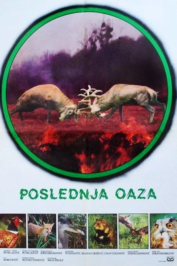 Disappearing Oasis, Last Oasis Juliste