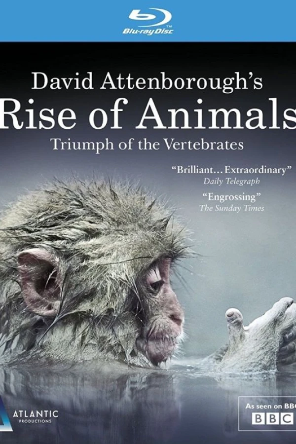 Rise of Animals: Triumph of the Vertebrates Juliste