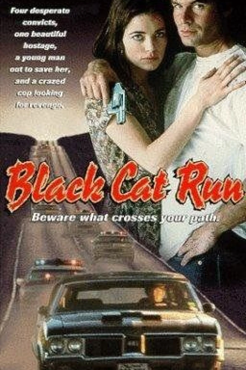 Black Cat Run Juliste