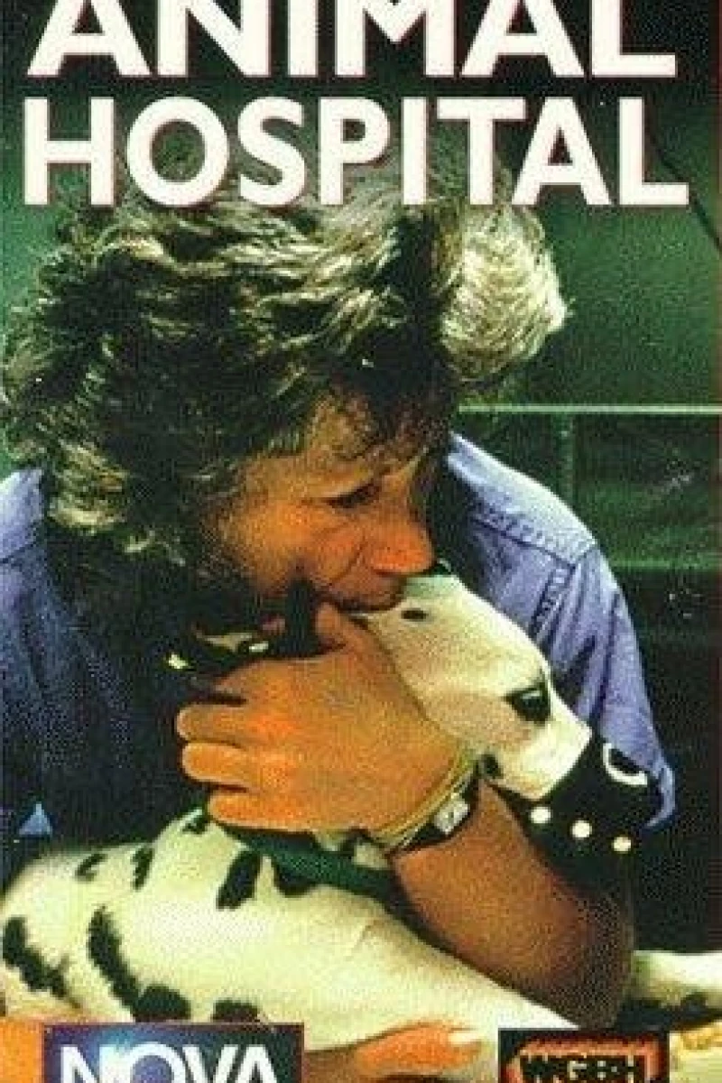 Animal Hospital Juliste