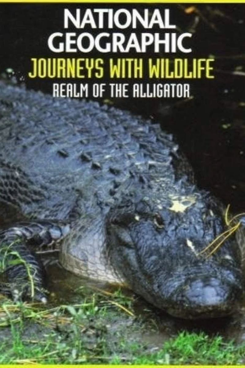 Realm of the Alligator Juliste