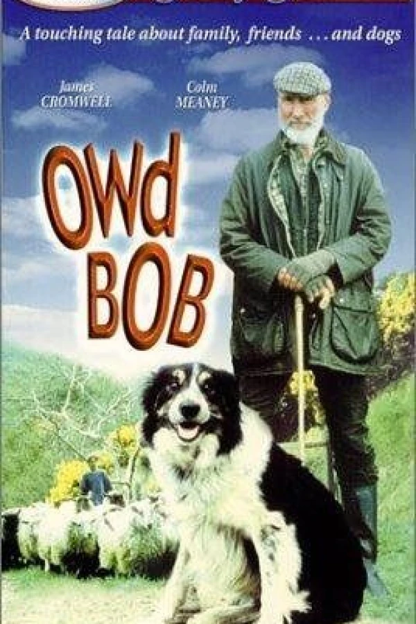 Owd Bob Juliste