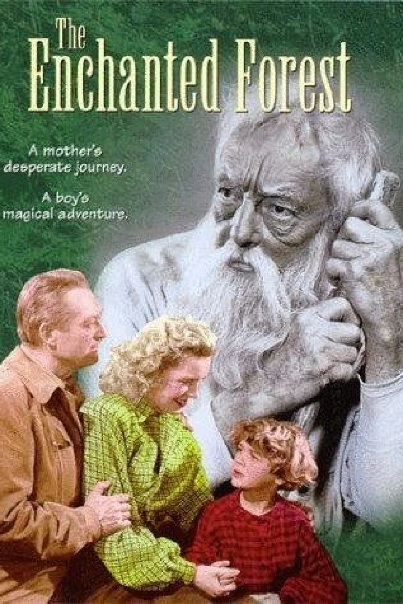 The Enchanted Forest Juliste