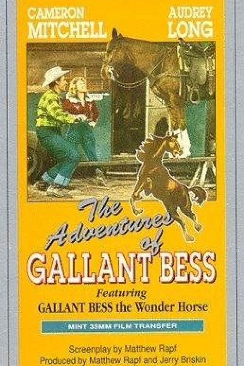 Adventures of Gallant Bess Juliste