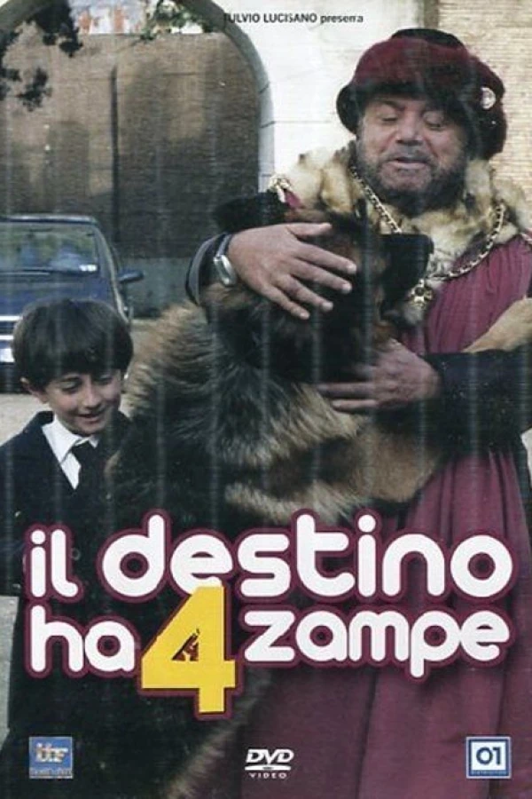 Il destino ha 4 zampe Juliste