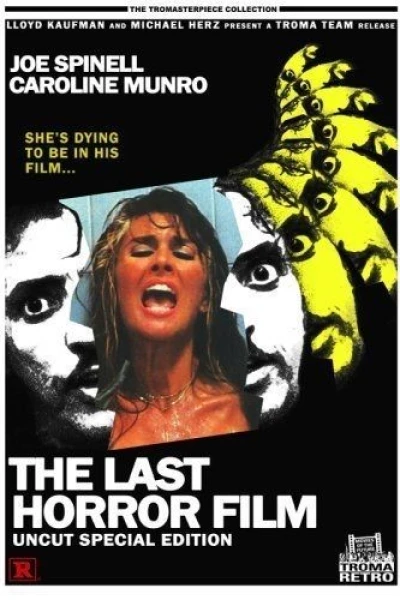 The Last Horror Film