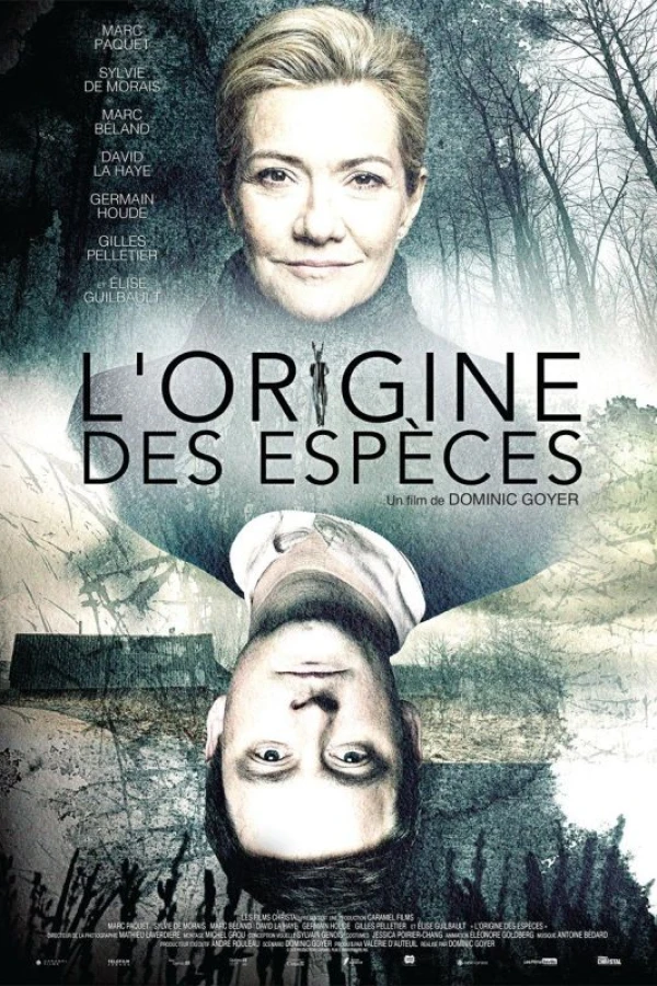 L'Origine des espèces Juliste