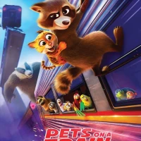 Pets on A Train