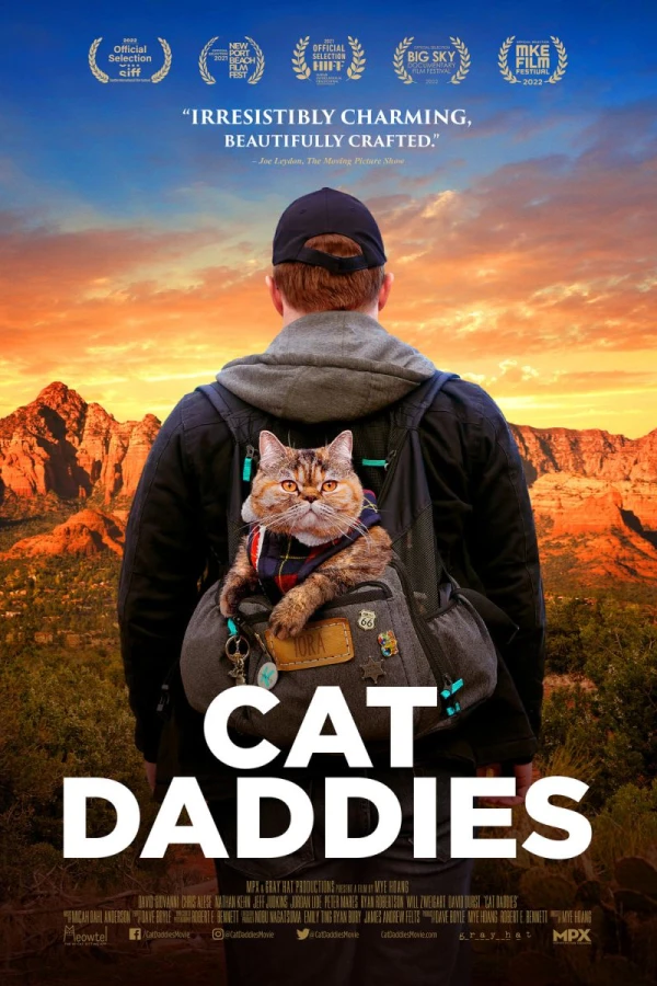 Cat Daddies Juliste