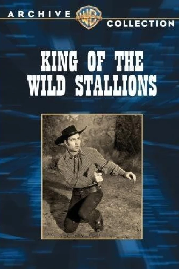 King of the Wild Stallions Juliste