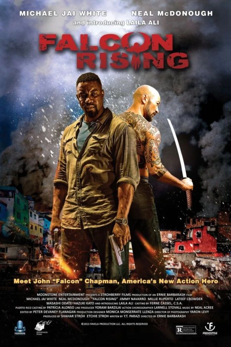 Falcon Rising Juliste