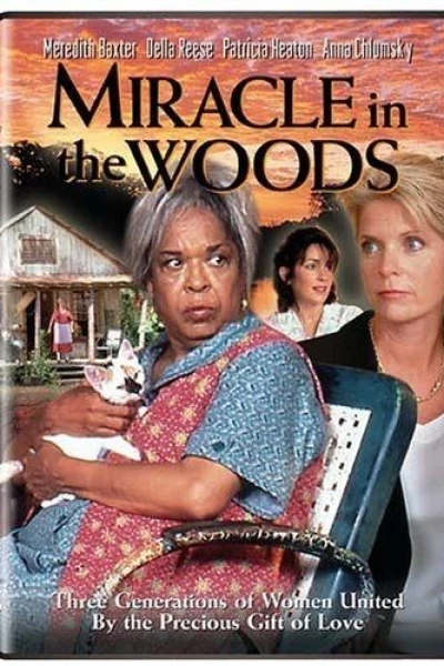 Miracle in the Woods