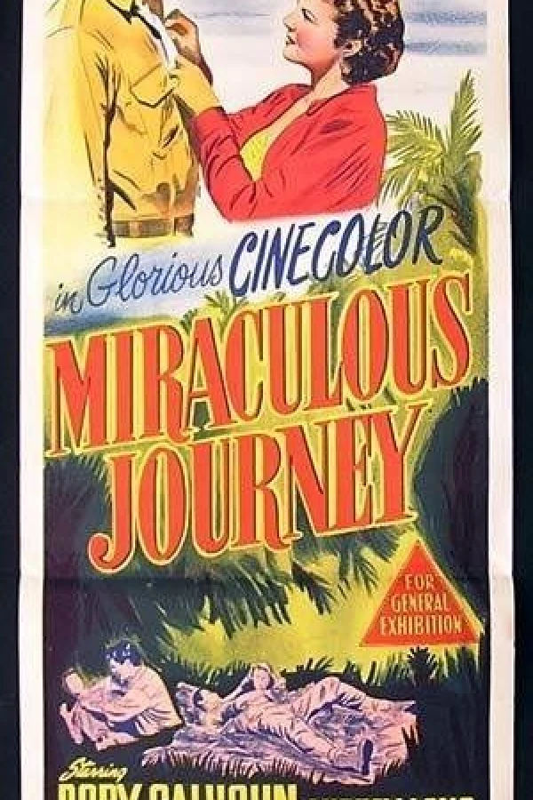 Miraculous Journey Juliste