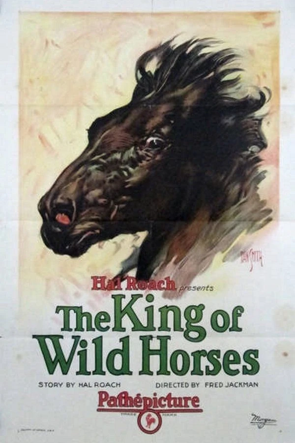 The King of Wild Horses Juliste