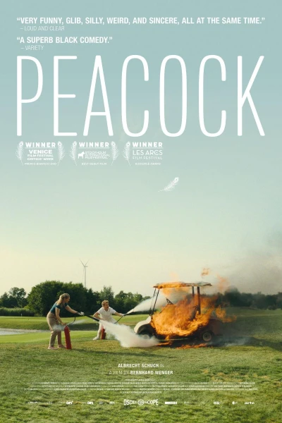 Peacock
