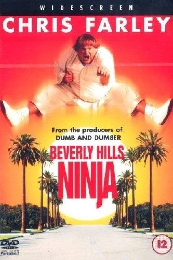 Beverly Hills Ninja Juliste