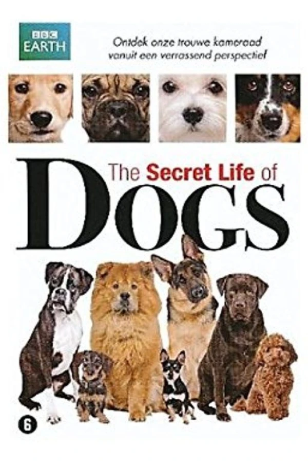 Secret Life of Dogs Juliste