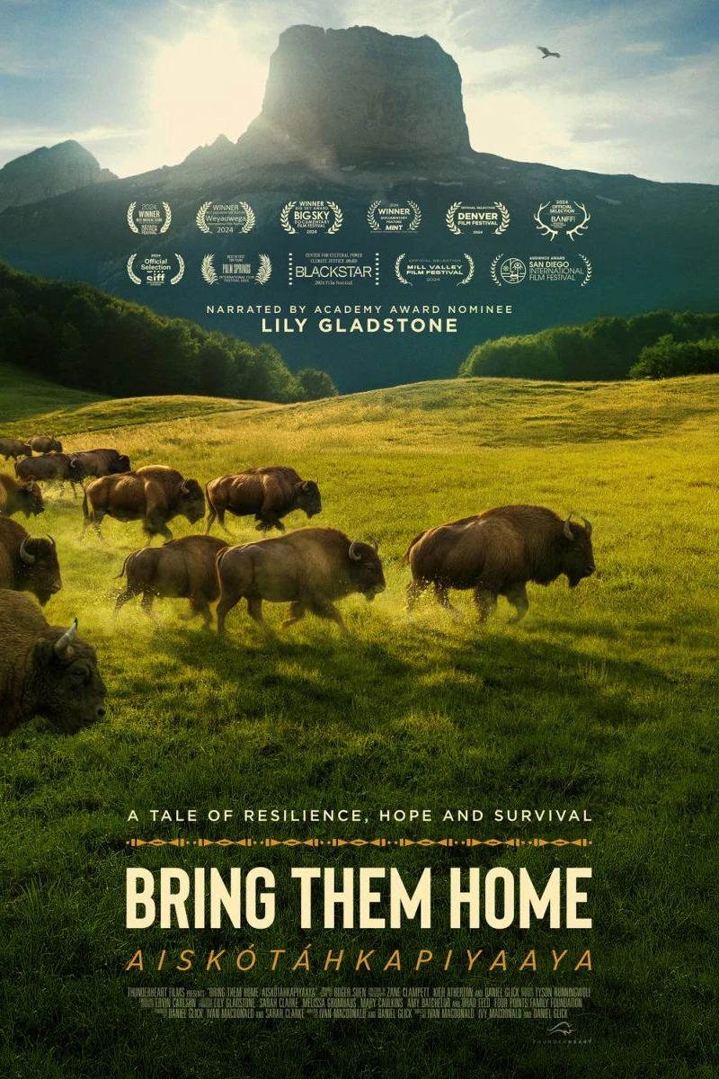 Buffalo Stone Juliste