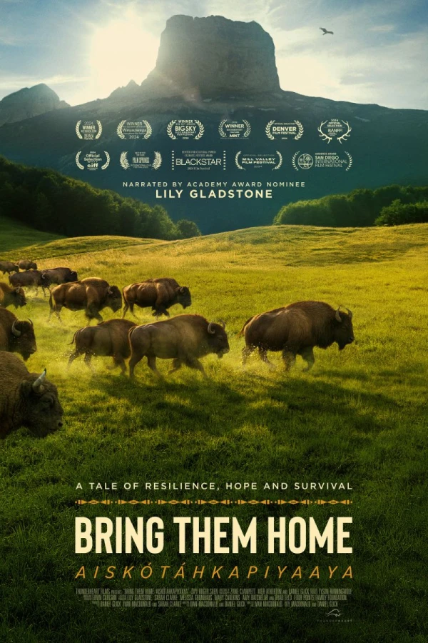 Buffalo Stone Juliste