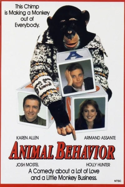 Animal Behavior